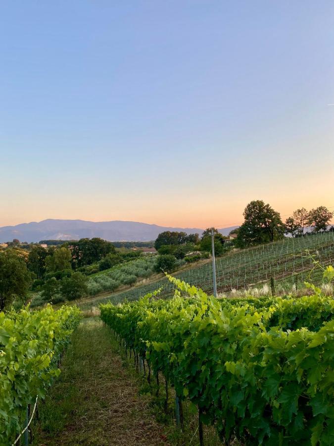 Donna Vittori - Borgo Agricolo Aparthotel Paliano Buitenkant foto