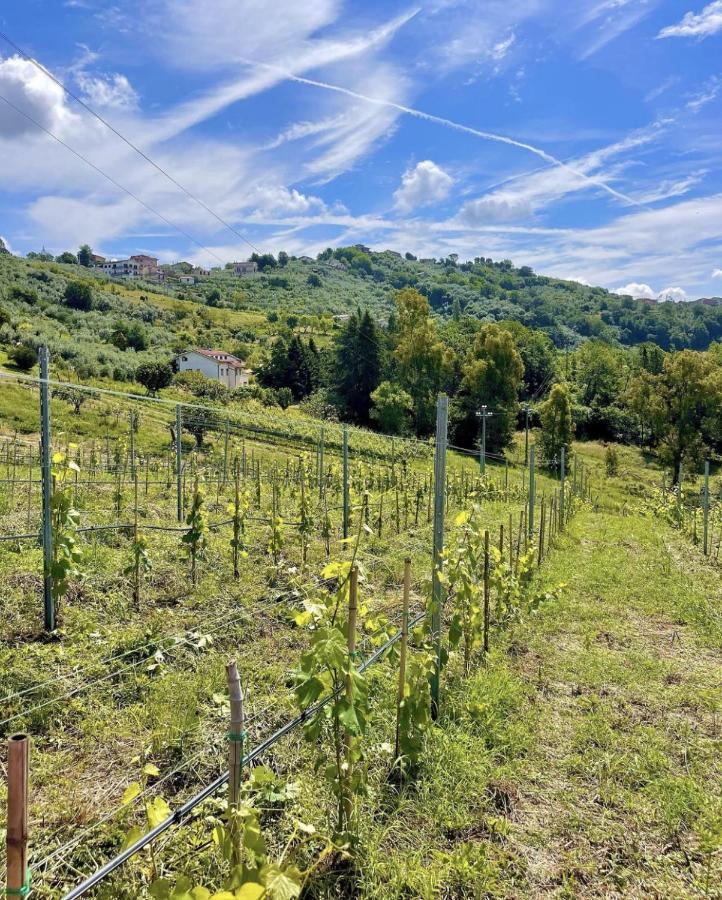 Donna Vittori - Borgo Agricolo Aparthotel Paliano Buitenkant foto
