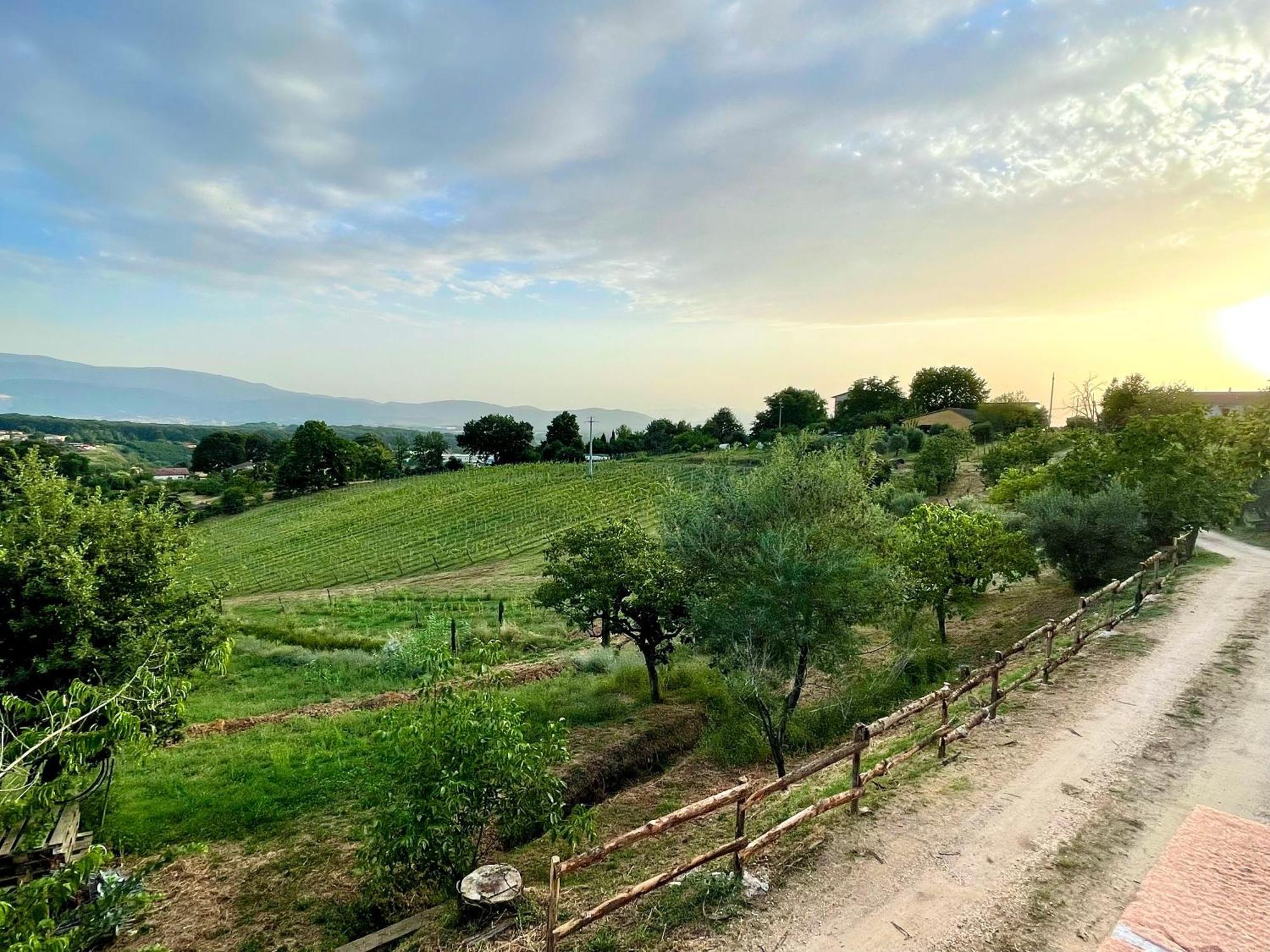 Donna Vittori - Borgo Agricolo Aparthotel Paliano Buitenkant foto