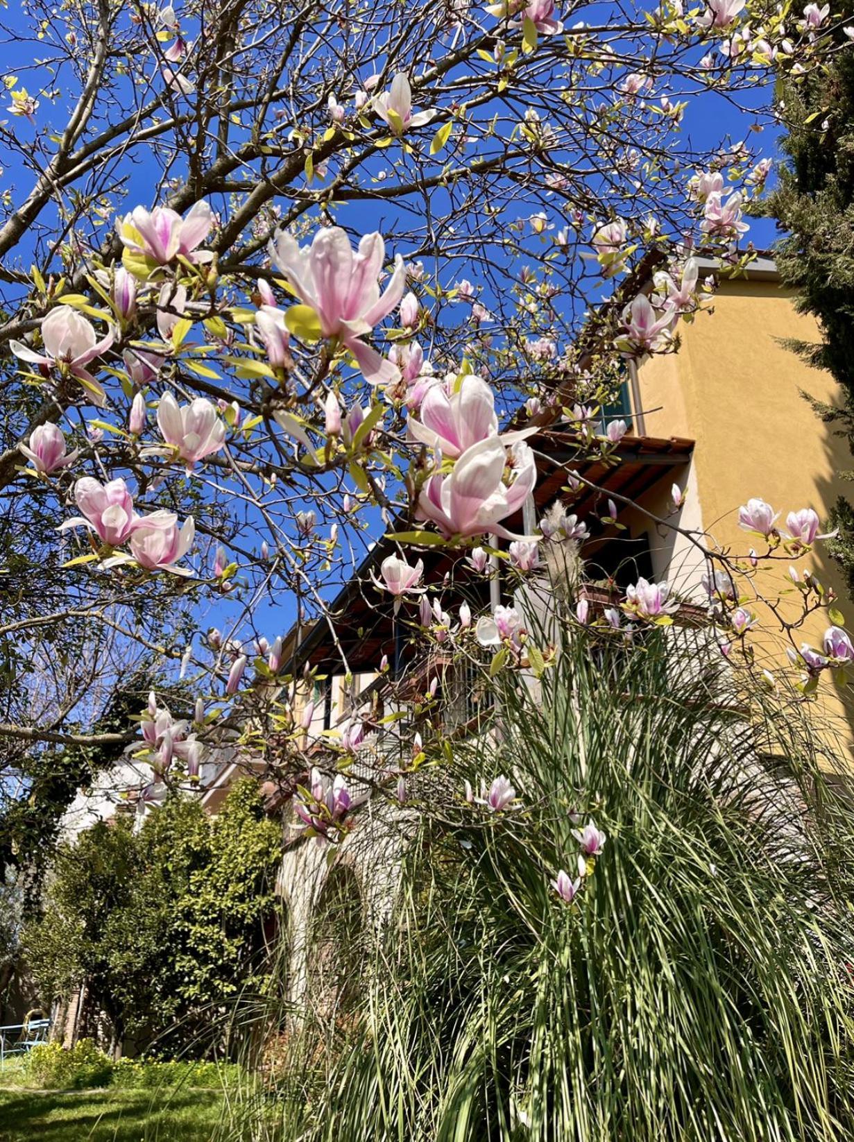 Donna Vittori - Borgo Agricolo Aparthotel Paliano Buitenkant foto